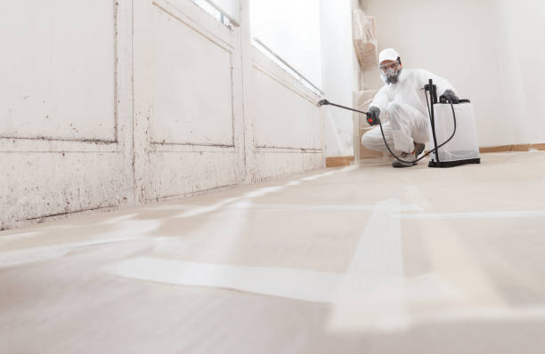24/7 Emergency Black Mold Remediation experts in Brentwood, TN