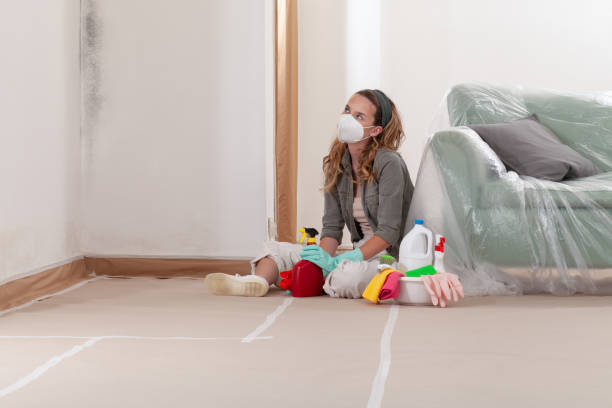 Reliable Black Mold Remediation contractor in Brentwood, TN by 24 Hour Mold Removal